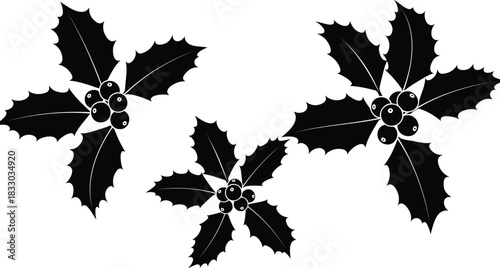 Three black silhouette holly leaf clusters with berries on white background Keywords: holly, leaves, berries, Christmas, winter, festive, holiday