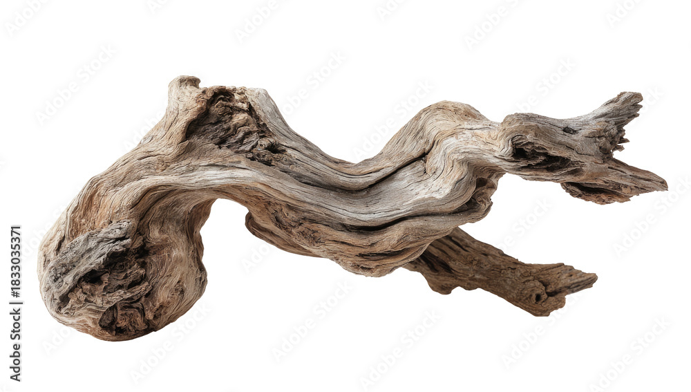 Obraz premium Close-up of intricately textured driftwood against a black background, highlighting natural wood grain