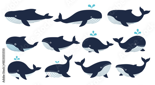 Collection of twelve blue whale illustrations in various simple, stylized poses, some spouting water. This marine animal set is perfect for nautical logos, patterns, and ocean-themed designs.