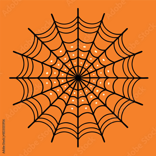  spider web illustration