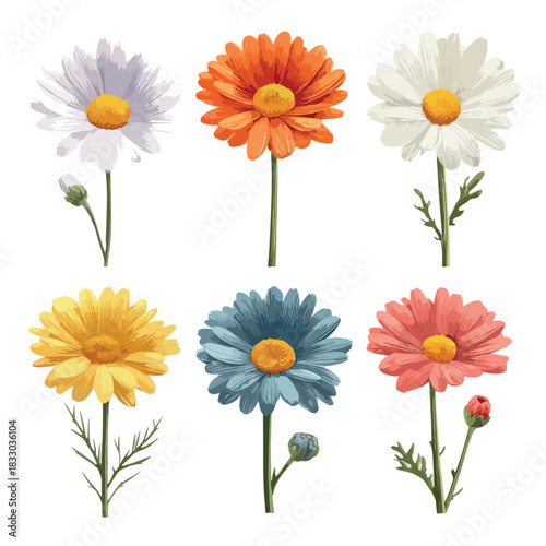 set of flowers isolated