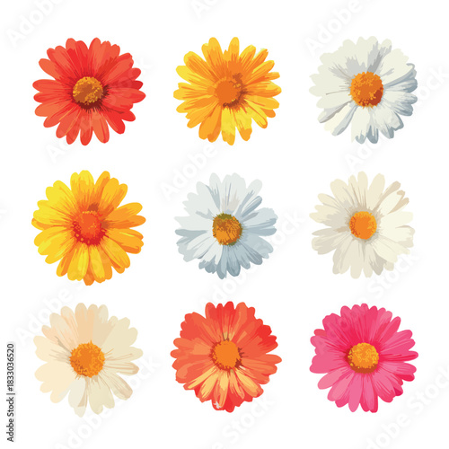 set of flowers isolated