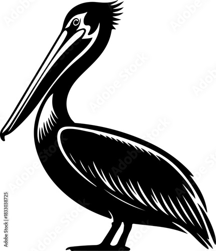 pelican silhouette vector illustration