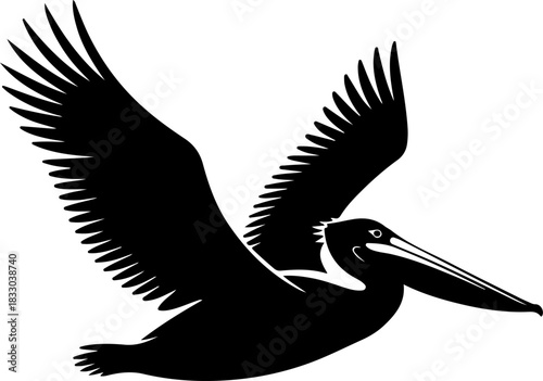 pelican silhouette vector illustration