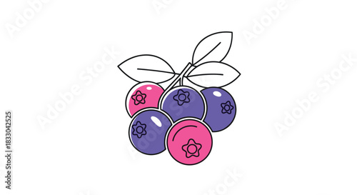 Cute and simple illustration of a cluster of colorful blueberries or cranberries on a branch with green leaves on white background.