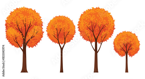 Set of four autumn trees with vibrant orange and yellow leaves and round crowns, isolated on a white background for seasonal design.