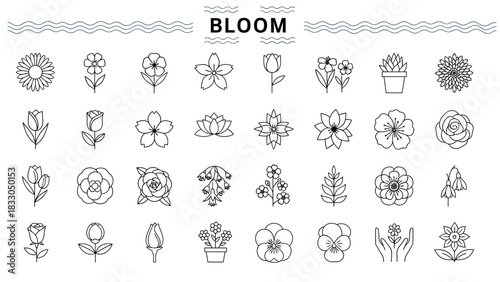 Vector illustration set of thin line flower icons. A collection of blooming plants, botanical symbols, and floral design elements
