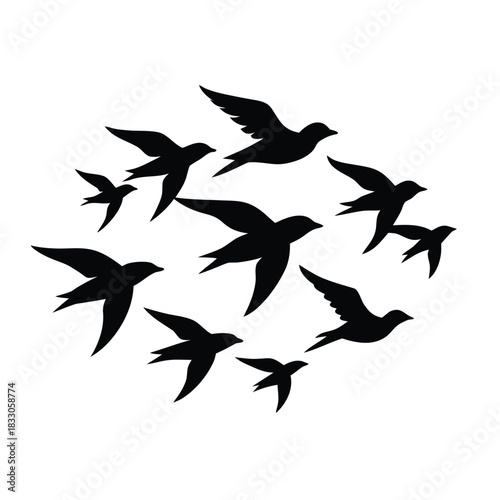 A dynamic flock of birds in silhouette taking flight isolated on white background