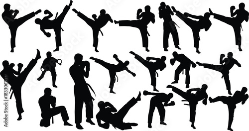 Vector martial arts and kickboxing combat sport silhouette set collection, male fighters performing various high kicks and training poses illustration design.