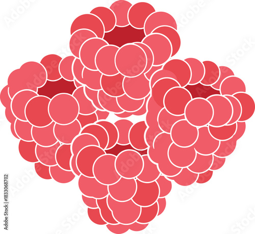 Red raspberry clusters illustration with a playful design