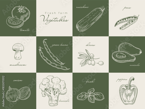 Green engraved vegetable set with tomato, zucchini, peas, beans, pepper, avocado, broccoli, mushroom, basil, onion and olives in classic farm vintage style.