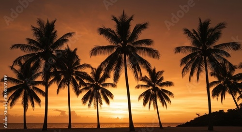 Fototapeta Naklejka Na Ścianę i Meble -  Silhouettes of palm trees at sunset over a beach