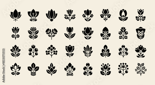 Collection of stylized black floral and botanical icons on a light beige background representing nature and growth