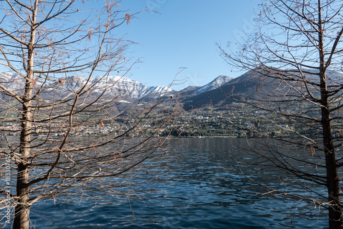 Bare winter trees stand along the quiet shores of Lake Iseo, their reflections blending with soft seasonal light to create a calm, atmospheric scene in northern Italy.