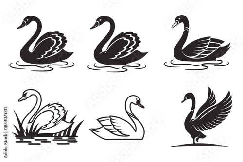 Eight minimalist flat swan icons in black and color