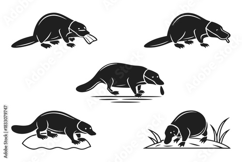 Minimalist duck billed platypus icon set