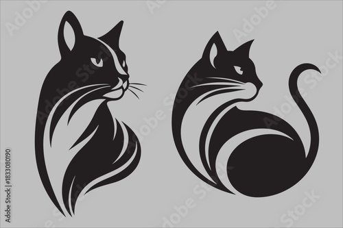 black and white cat