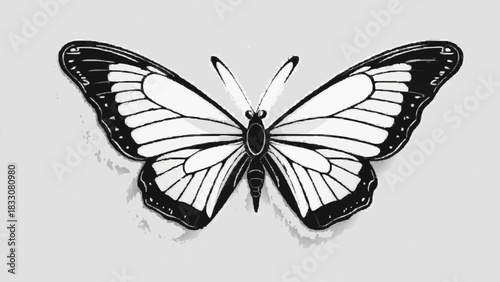 Beautiful colorful Monarch butterfly, a black and yellow insect with orange wings, isolated on a clean white background