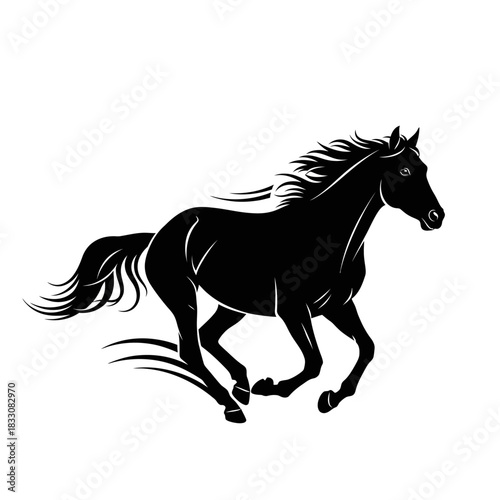 horse silhouette isolated on white