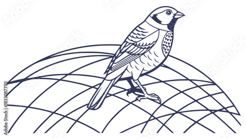 A detailed line drawing of a small bird perched on a curved surface