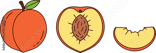 Delicious and ripe peach fruit vector set featuring a whole peach with a green leaf, a half-slice showing the pit, and a bite-taken segment, symbolizing healthy organic food and summer dessert.