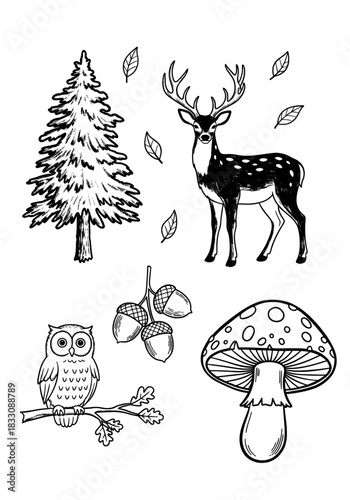 Rustic Woodland Sketch Set: Hand-Drawn Deer, Owl, Pine Tree, Mushroom, and Acorns. Vintage Monochrome Nature Doodle Collection.