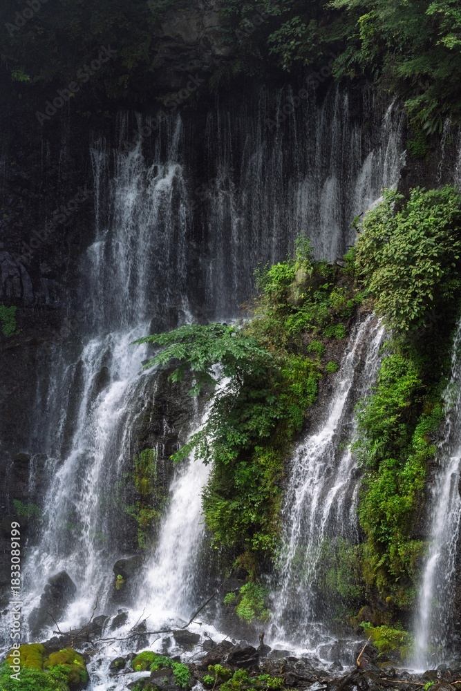 Obraz premium waterfall in the jungle