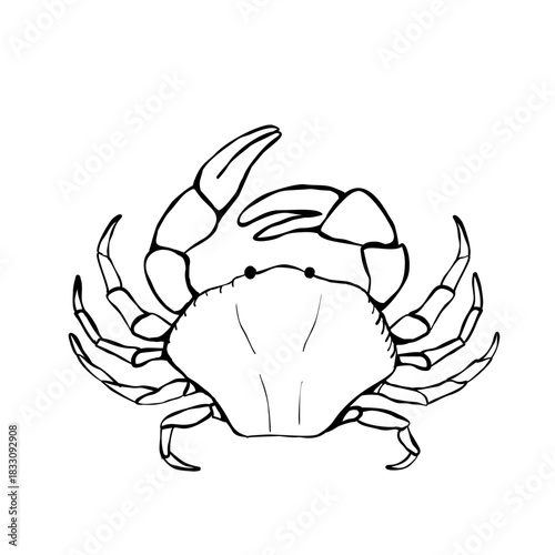 Crab outline black and white marine crustacean front view with claws simple line drawing for seafood menu branding packaging coastal decor and education