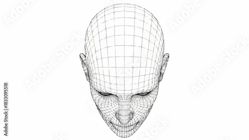 Wireframe Human Head Digital Representation of Face and Mind.