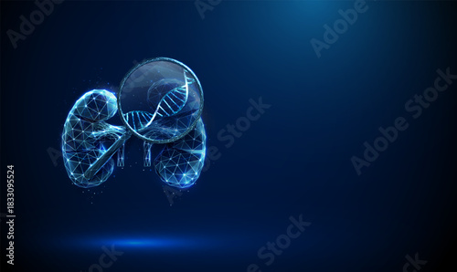 3d kidneys under magnifying glass showing DNA inside. Genetic research, molecular diagnostics, nephrology, medical analysis, biotechnology concept.