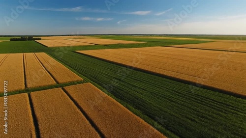 Golden wheat fields and lush green pastures stretch towards the horizon, showcasing the beauty and bounty of agriculture in the heartland