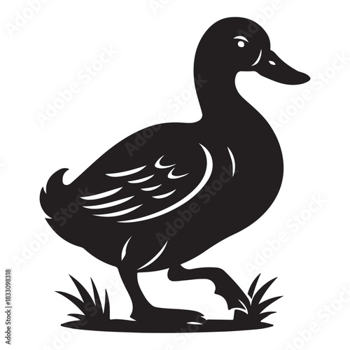 Monochrome Vector Silhouette Of A Walking Mallard Duck Wildfowl. Duck isolated on white