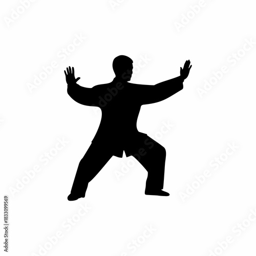 Tai Chi Qigong Martial Arts Stance Silhouette Icon