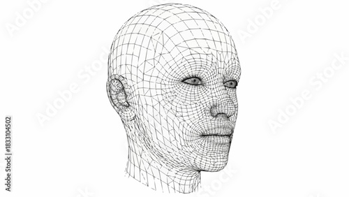 Three dimensional wireframe model of a human head.