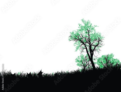 Tree Silhouette on Grassy Landscape with Green Foliage