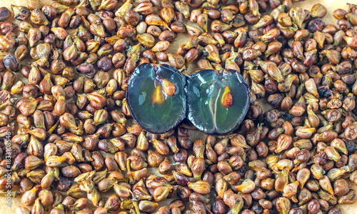 Extreme Macro of Grape Sliced in Half Resting on a Bed of Dried Grape Seeds