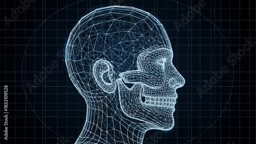 Wireframe Head - A Digital Representation of Human Anatomy.