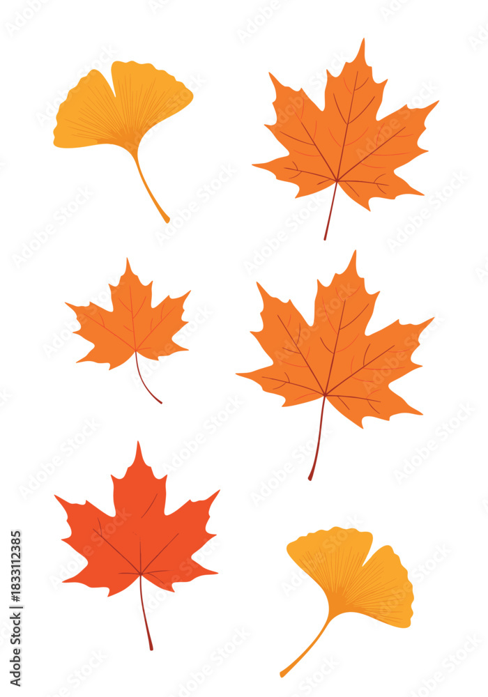 Obraz premium Autumn leaves in orange and red hues are arranged to showcase natural textures and seasonal warmth for creative design inspiration.