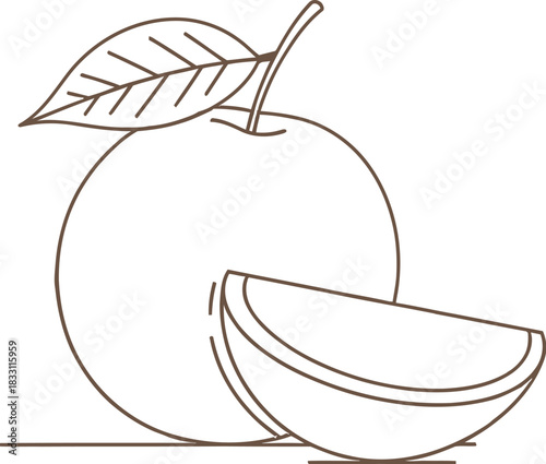 Fresh orange fruit with a slice and leaf in a simple line art illustration