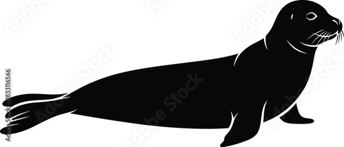 Black silhouette of a seal on a white background