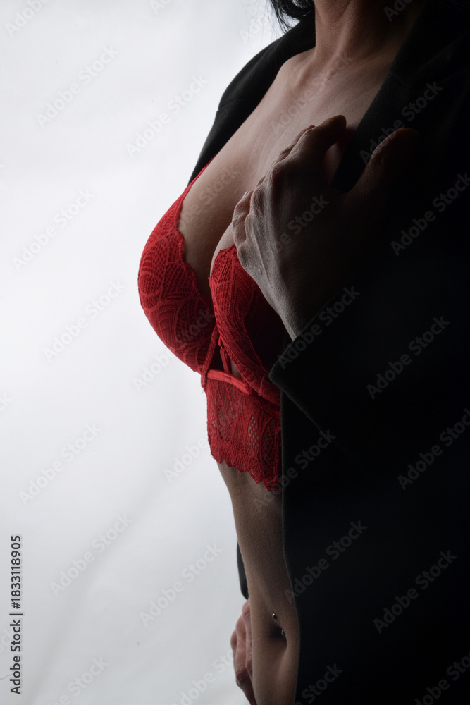 Fototapeta premium unterwäsch,körper, frau, rot, schönheit, gestalten, bekleidung, dessous, lingerie, bh, slip, weihnachten, weihnachtlich, yoga, fitnes, magen, bauch, leute, hand, schwangerschaft, anzug, leitbild, back