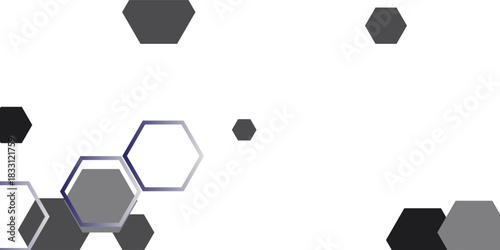 Black and white hexagon geometric patterned background vector