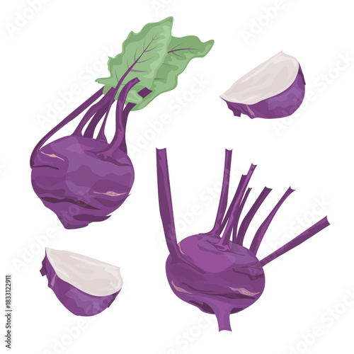 Set Purple Kohlrabi vegetables