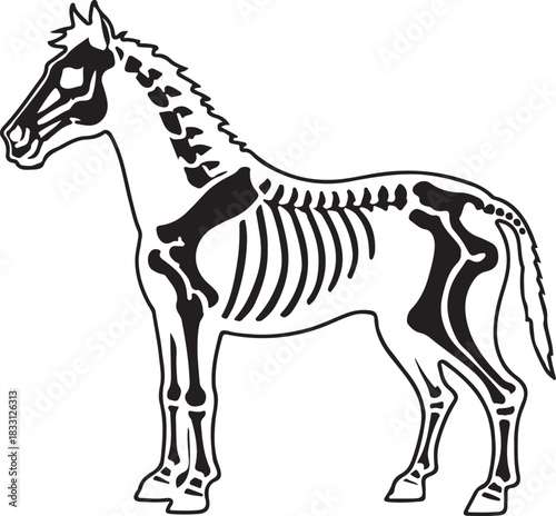 Black silhouette vector illustration of a domestic pony or stallion on white, suitable for farm animal drawing or art