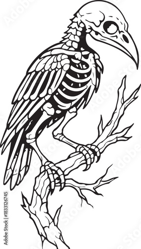 Black flying eagle silhouette vector illustration and wild nature bird drawing or tattoo design