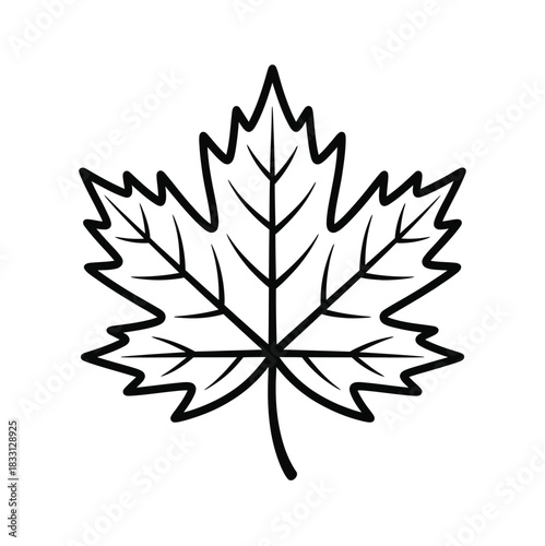 Striking black outline illustrates a detailed maple leaf on a transparent background perfectly