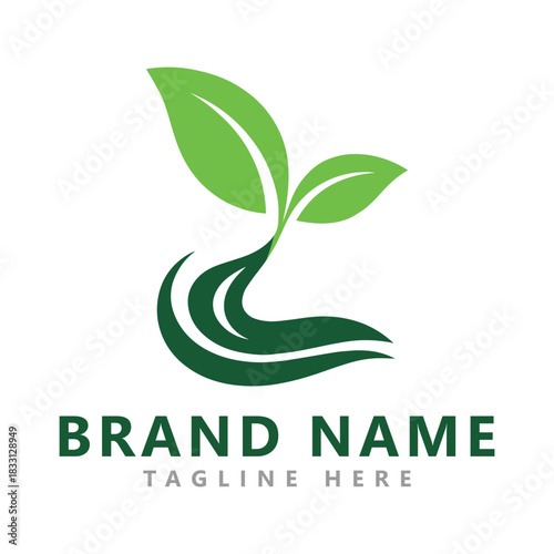 Growing seed logo design template. Suitable for agriculture.
