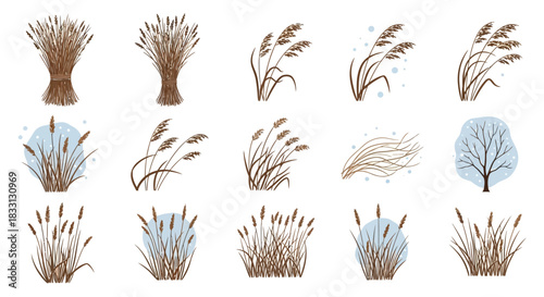 A collection of illustrations depicting various dry reeds, tall grasses, and a bare tree, some bundled, some swaying in the wind, with hints of snow or a blue background.