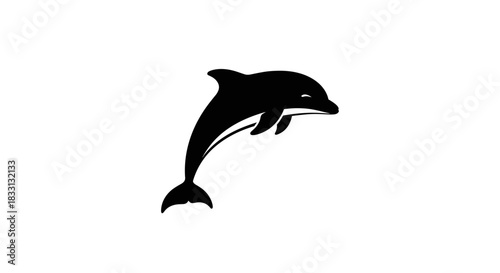 Silhouette of a Dolphin Leaping Out of the Water.