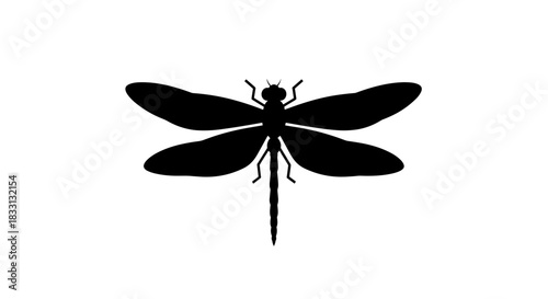 Silhouette of a Dragonfly with Detailed Wings on White.
